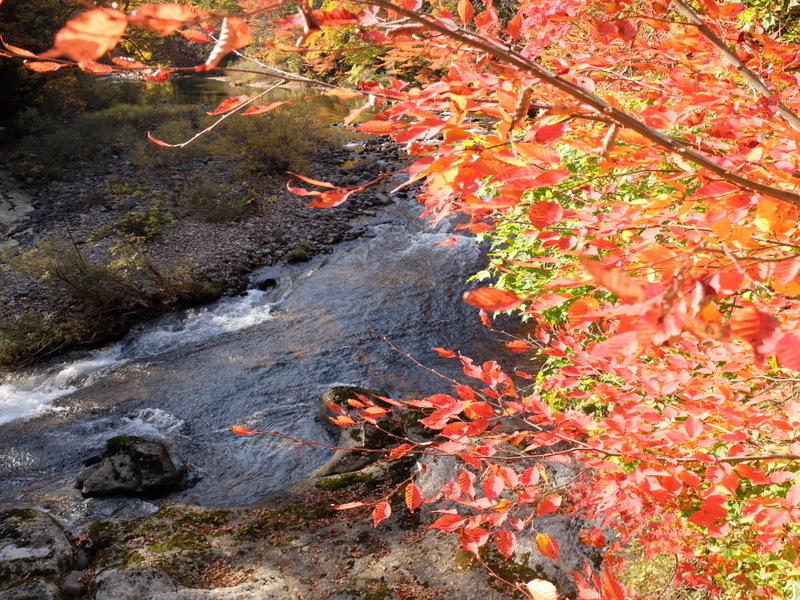 1-DSCF0226.JPG