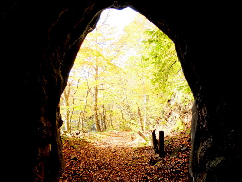 1-DSCF0237.JPG