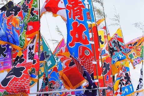 DSC00009.jpg