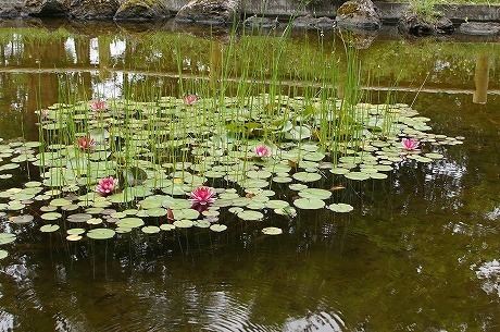 DSC01520.jpg