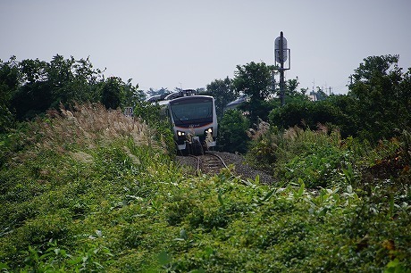 DSC02255.jpg