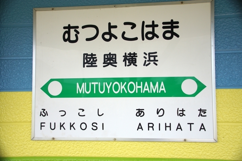 DSC07416.jpg