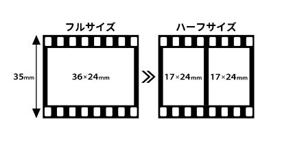 スクリーンショット 2024-06-27 102811.jpg